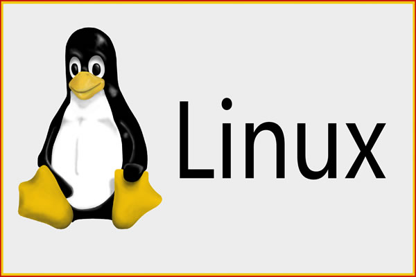 Hong Kong Server Computer Disassembly Tutorial Details And Faqs